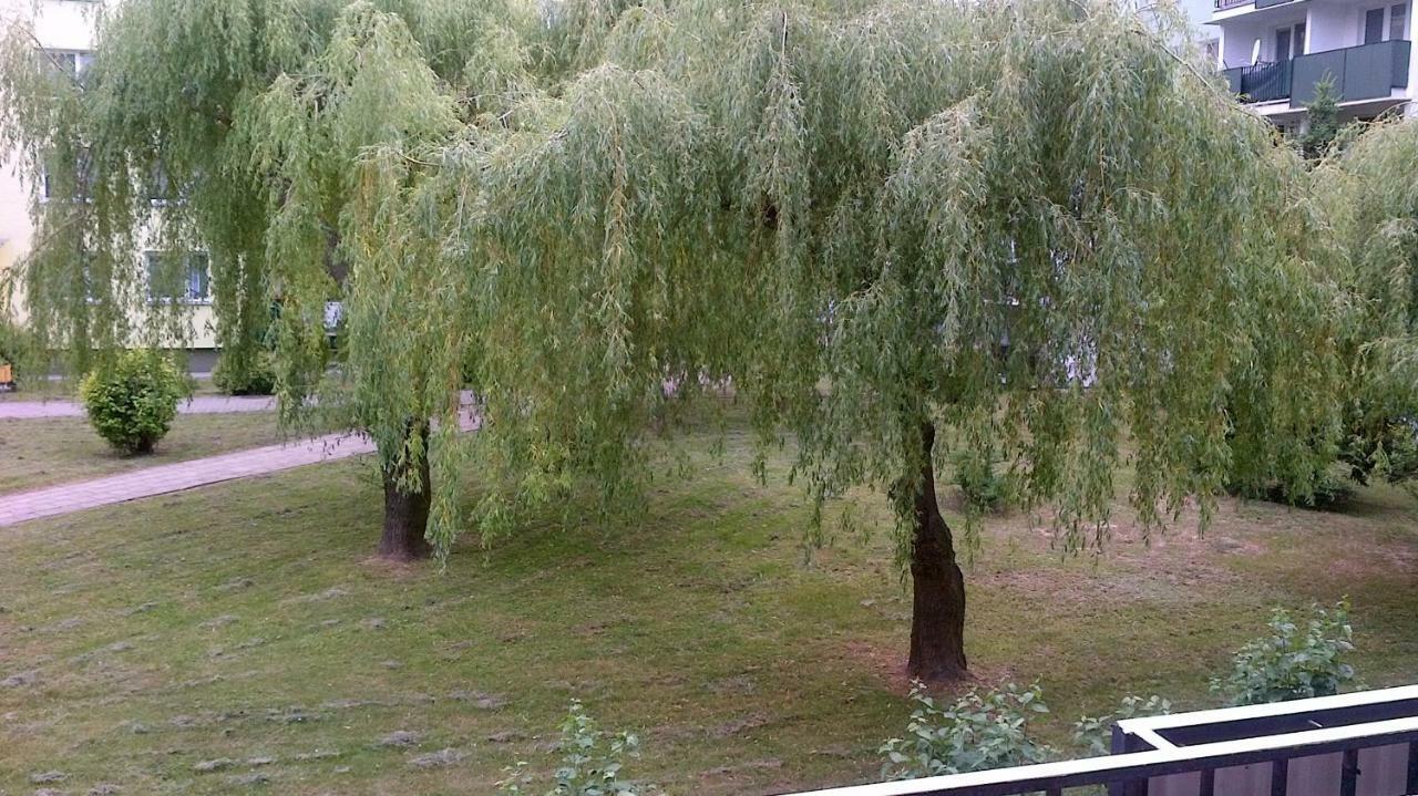 Zielona Herbowa Люблін Екстер'єр фото